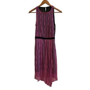 Walter Baker W118 Purple Lace Fairy Goth Whimsical Y2K Sheer Dress XS